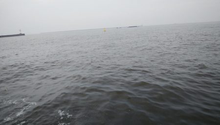 今日もライトショアジギングでツバス