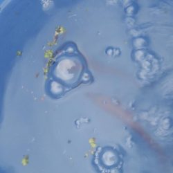 連休3日目雨天強行釣行そして今日も・・・