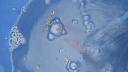 連休3日目雨天強行釣行そして今日も・・・