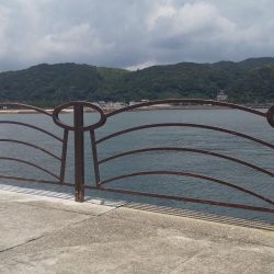 シロギス狙いで。。。