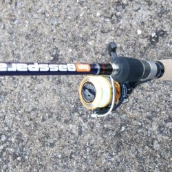 ライトショアジギングやっぱり・・・