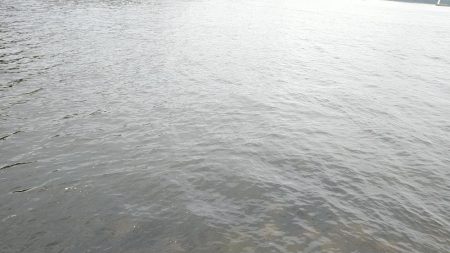 投げ釣りでも単発……