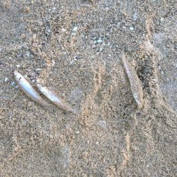 こんな日もあんだな。。