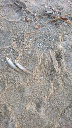 こんな日もあんだな。。