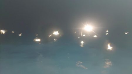 ケンサキイカを求めて