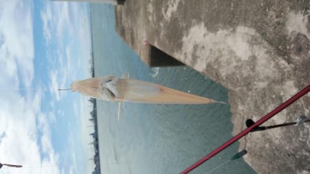 播磨新島撃沈後高砂港でリベンジ