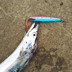 日中も良いペースで……