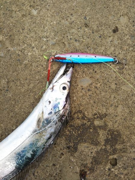 日中も良いペースで……