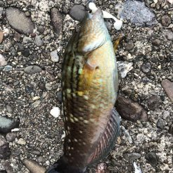 ごめん!勘弁してください