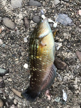 ごめん!勘弁してください