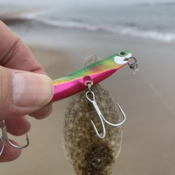 ヒラメ始めました