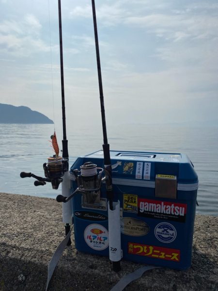 ケンサキ・アオリ狙いが・・・