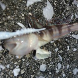 平日休暇を利用して