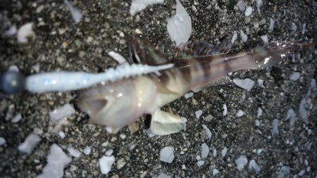 平日休暇を利用して