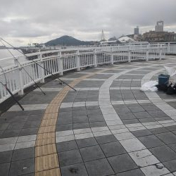 エソいじめ…(笑)