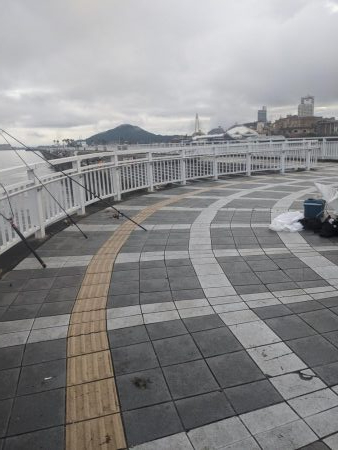 エソいじめ…(笑)