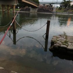 今日も子供と！