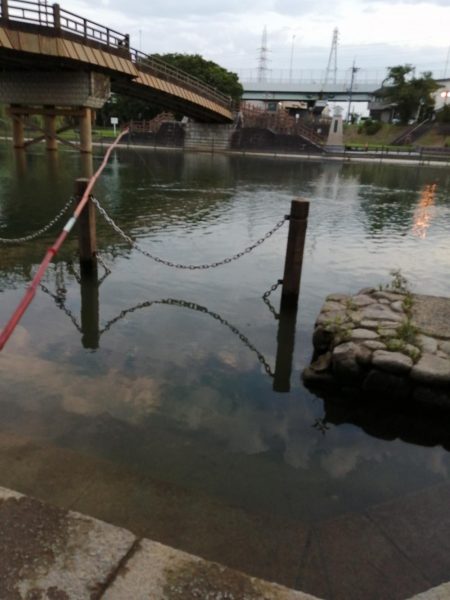 今日も子供と！