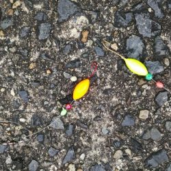 白杉でマダイとシロギス　ウミケムシ対策仕掛け