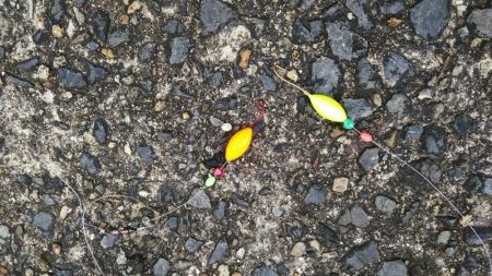 白杉でマダイとシロギス　ウミケムシ対策仕掛け