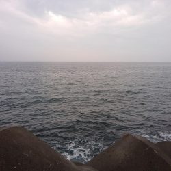 雨の中がんばったよ