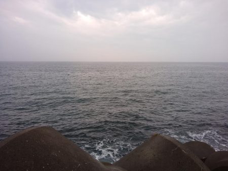 雨の中がんばったよ