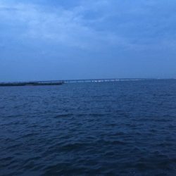 梅雨メバルいました♪