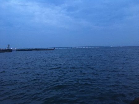 梅雨メバルいました♪