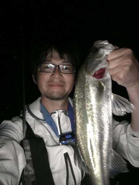 ナイトシーバスゲーム　（長崎　大村周辺）