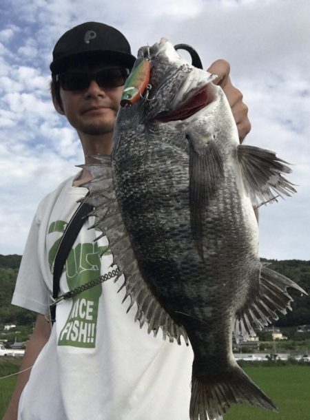 デイトップチニング!