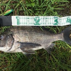 チニングゲーム