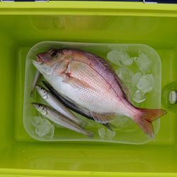 雨後のキスは不調