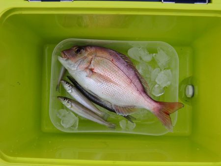 雨後のキスは不調