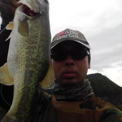 コンディション良好