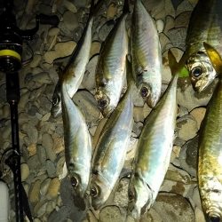 フロートゲーム