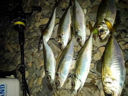 フロートゲーム