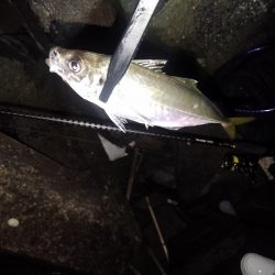 フロートゲーム