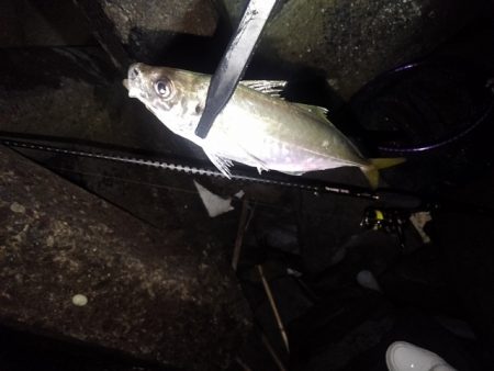 フロートゲーム