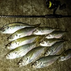 フロートゲーム