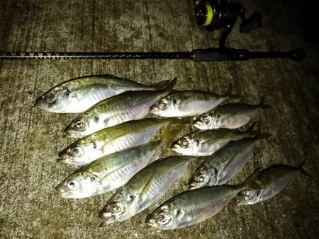 フロートゲーム