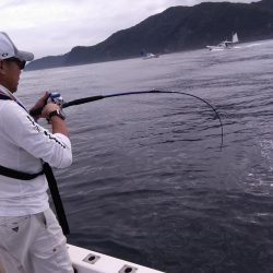 遊漁船SOUTH7/30釣果