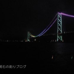 大サバの夜釣り