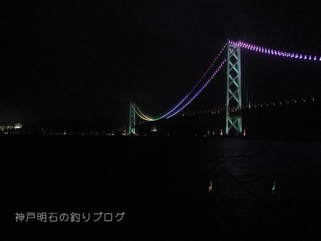 大サバの夜釣り