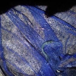 梅雨最後のライトゲーム