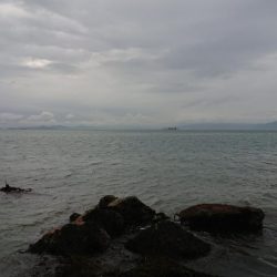 雨の中休み釣行！