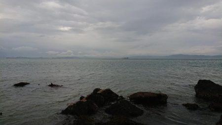 雨の中休み釣行！