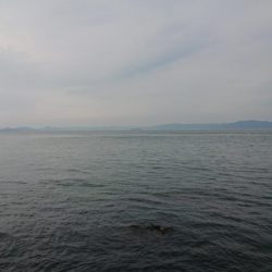 氷河期のハズが・・・?