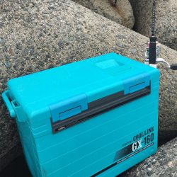 まさかの五目釣達成‼️