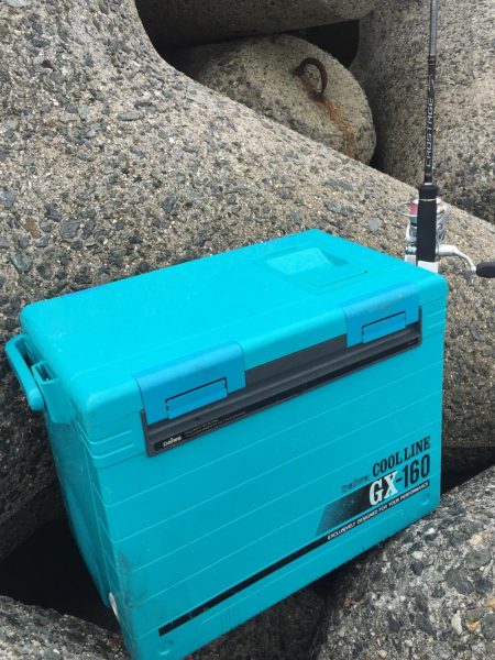 まさかの五目釣達成‼️