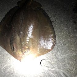 ごめん!勘弁してください